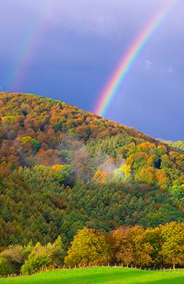Arcoíris. El arcoíris sobre los bosques de hayas en otoño, situado en la sierra de Aralar, Navarra.