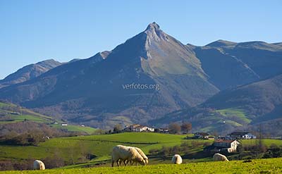 Prados, caserío y ovejas en Lazkaomendi con la sierra de Aralar al fondo, Euskadi
