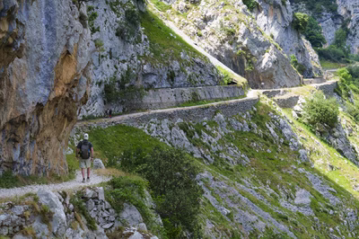 Una persona camina por el sendero de la ruta del Cares. 
El camino de piedra está en los Picos de Europa. La fotografía muestra las montañas altas de roca gris y el sendero estrecho. Es una imagen útil para Webs de viajes y turismo. Los usuarios pueden descargar este recurso visual de forma gratuita y directa para sus proyectos digitales o impresos.